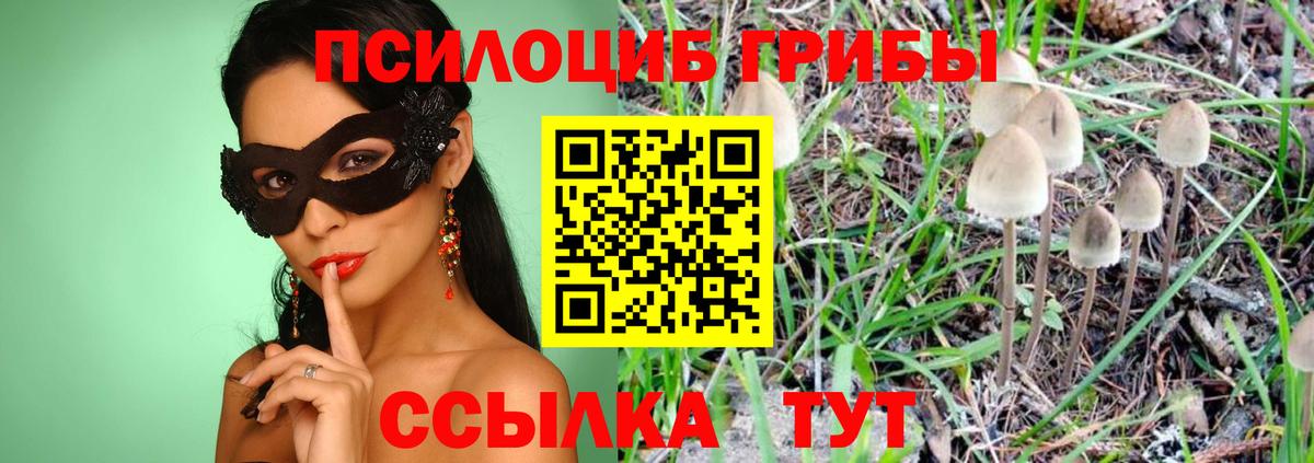 Псилоцибиновые грибы прущие грибы Коломна
